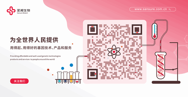 Cmp(冠军)官网 - 西甲希洪竞技主赞助商